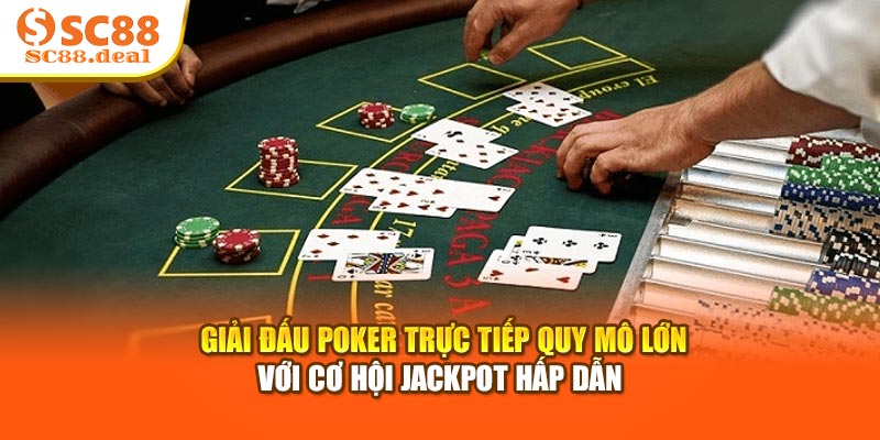 Giải đấu Poker trực tiếp quy mô lớn với cơ hội Jackpot hấp dẫn